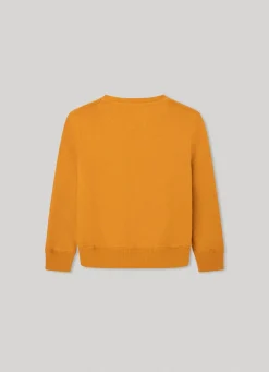 Rapaz Pepe Jeans Sweatshirts E Malhas>Sweatshirt Logo Estampado Em 3D
