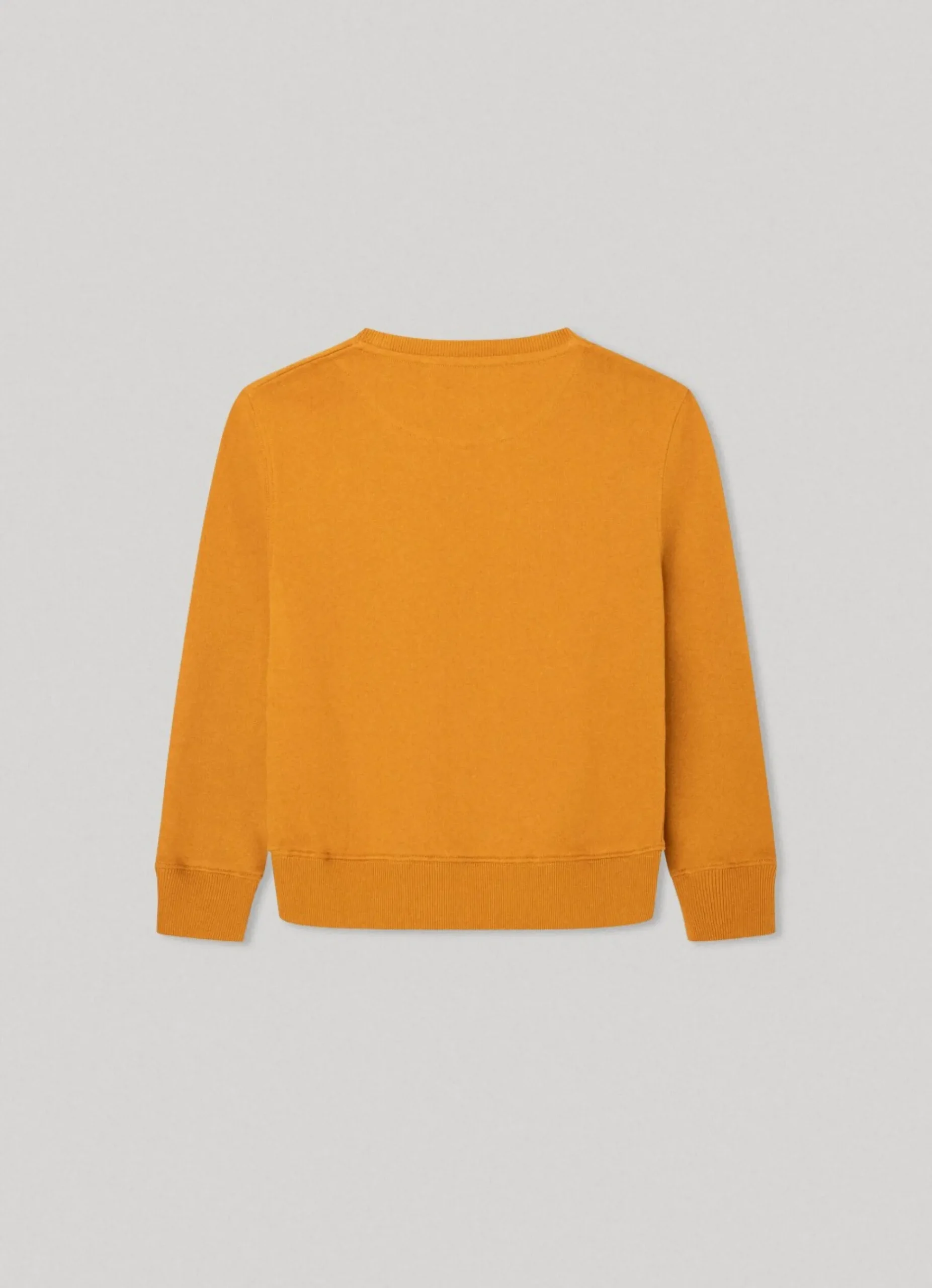 Rapaz Pepe Jeans Sweatshirts E Malhas>Sweatshirt Logo Estampado Em 3D