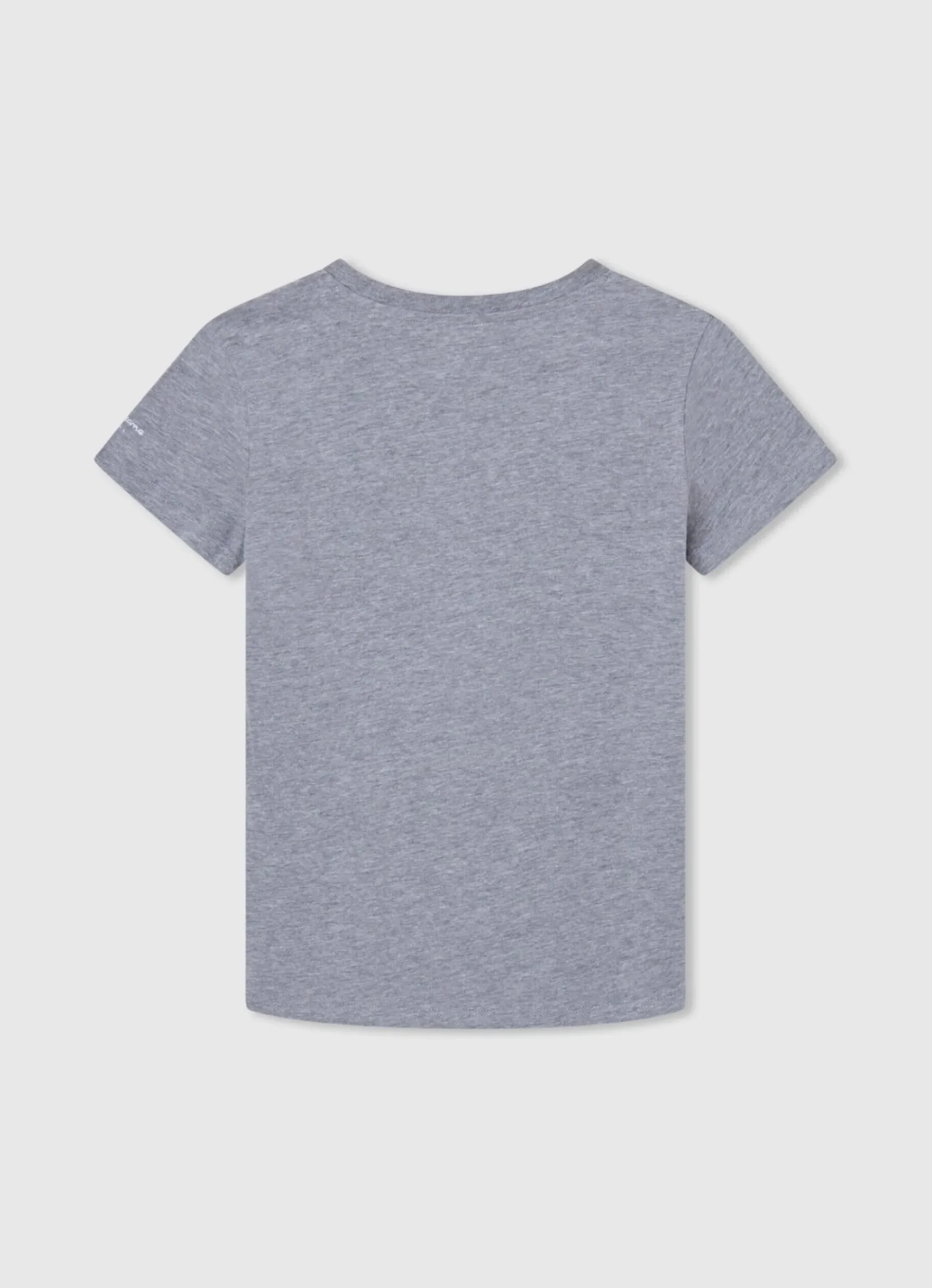 Rapaz Pepe Jeans T-Shirts>T-Shirt Algodao Logo Bandeira