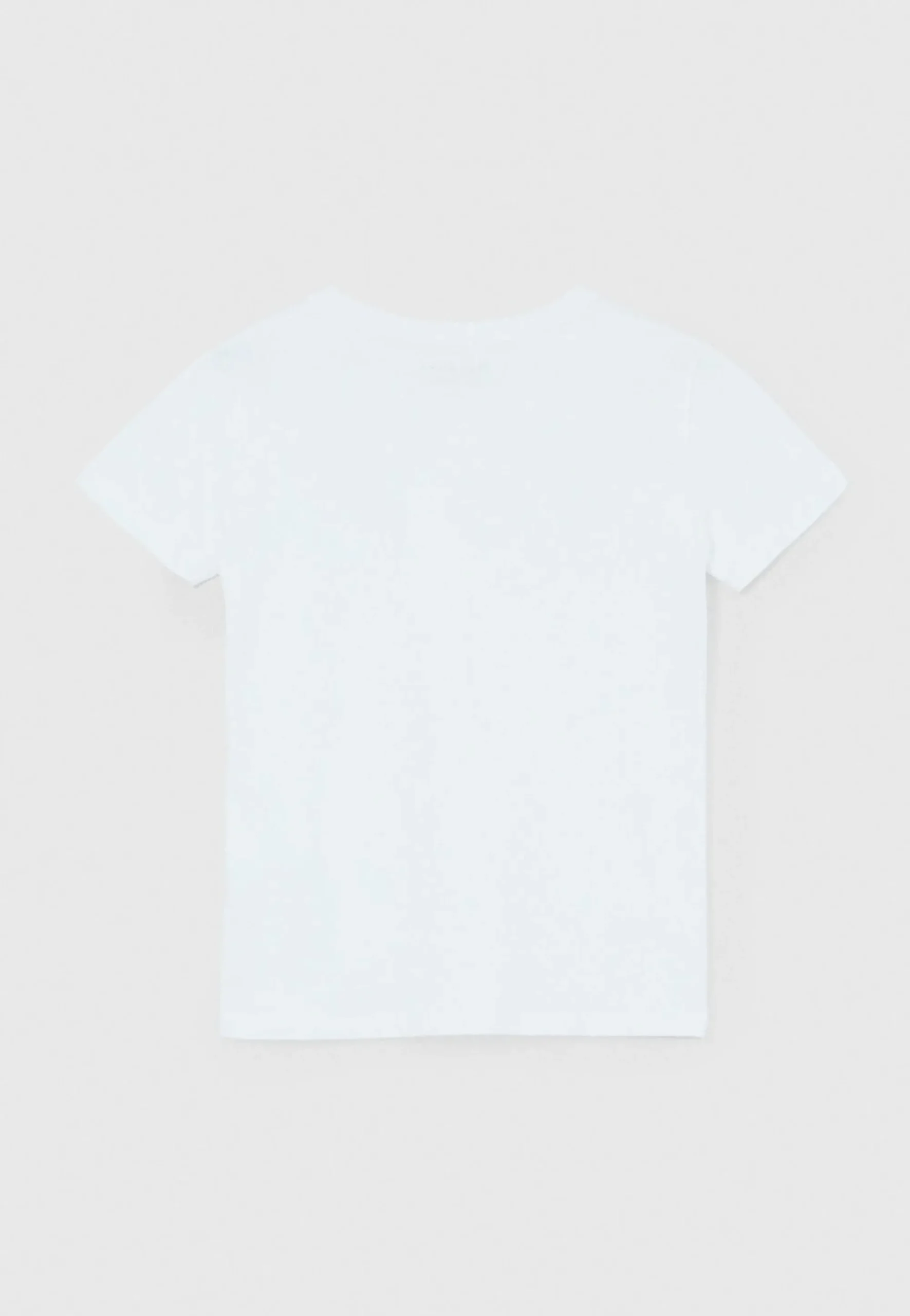 Rapaz Pepe Jeans T-Shirts>T-Shirt Algodao Logo Estampado