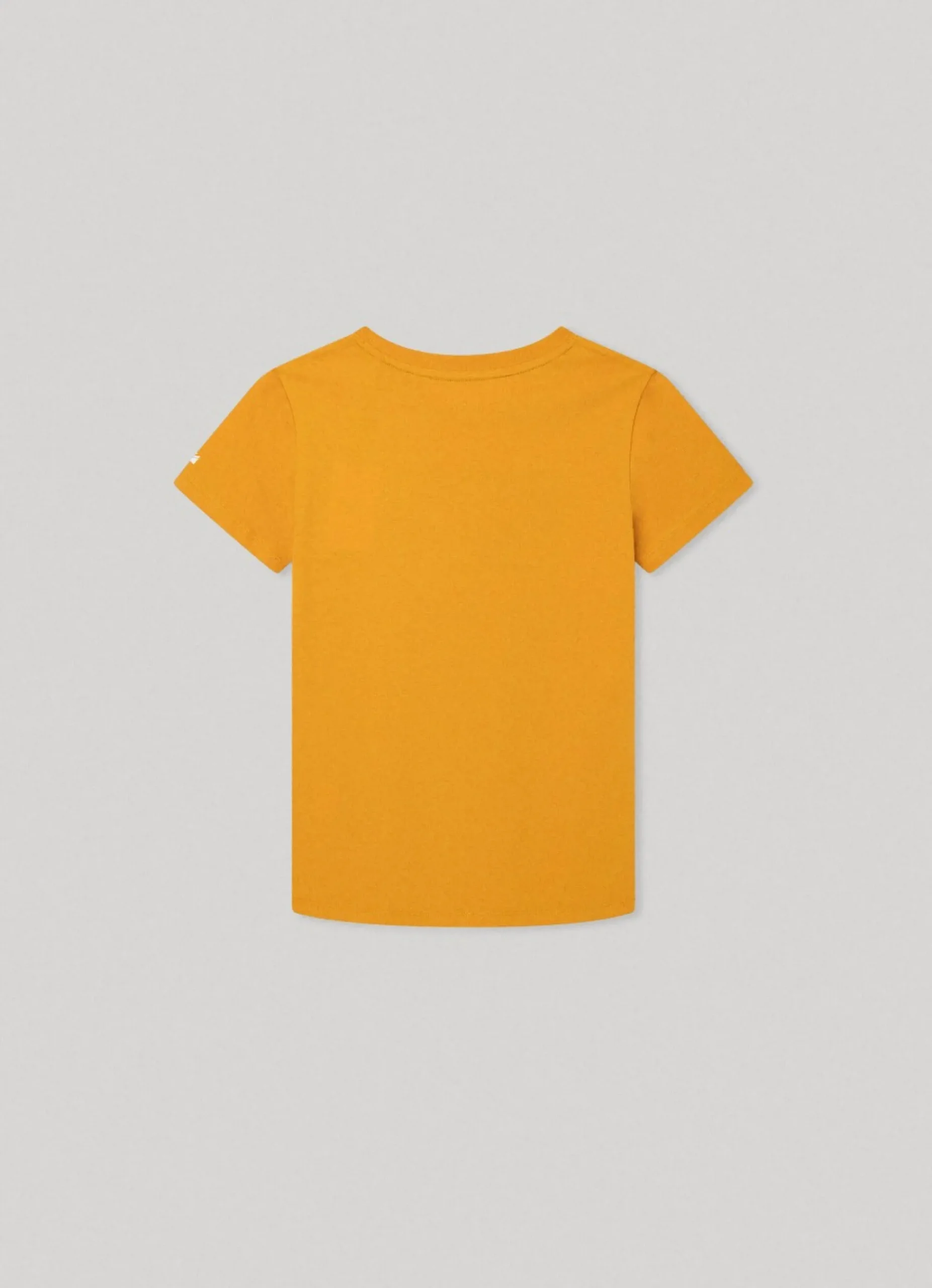 Rapaz Pepe Jeans T-Shirts>T-Shirt Logo Estampado
