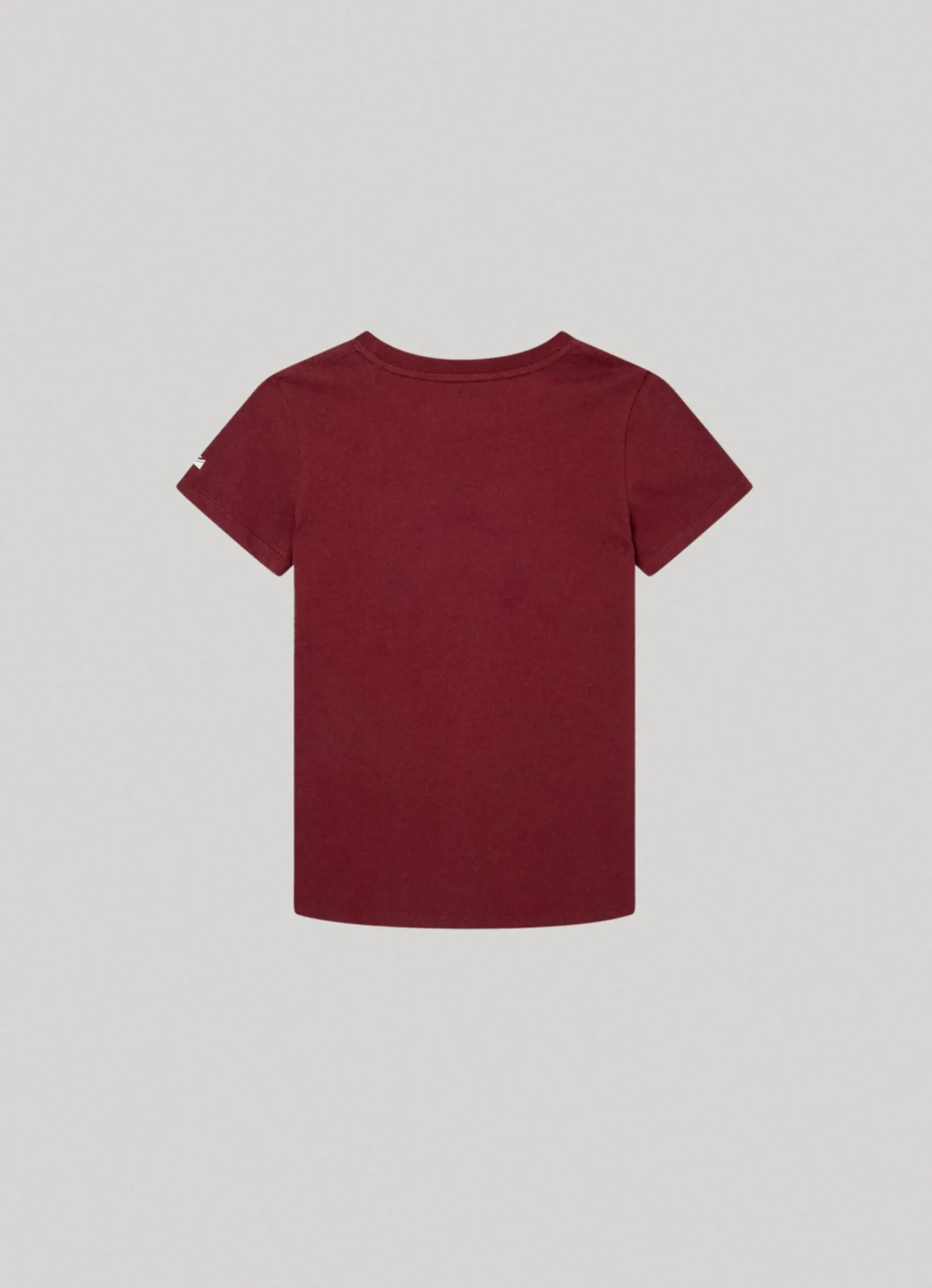 Rapaz Pepe Jeans T-Shirts>T-Shirt Logo Estampado